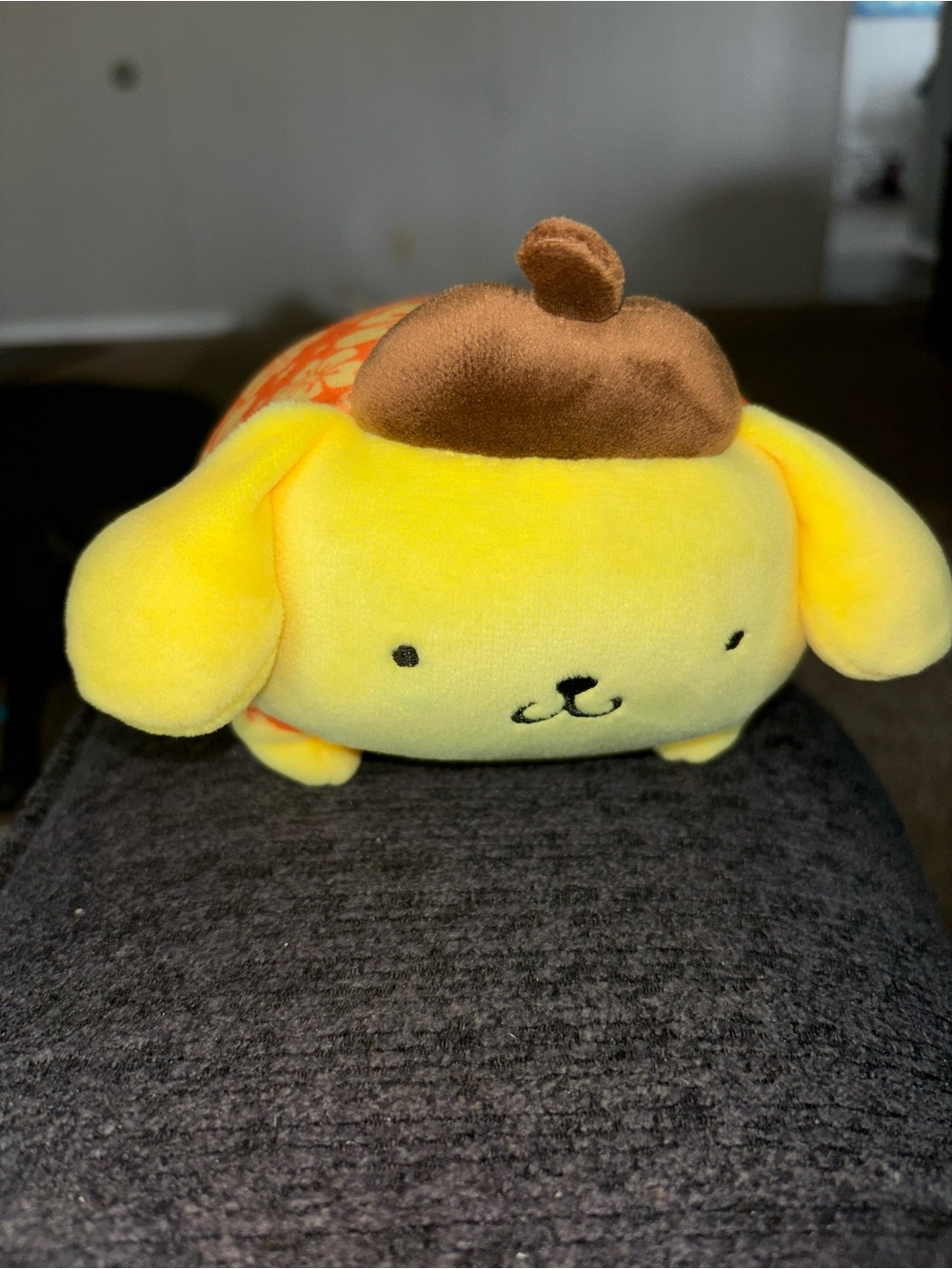 Pompompurin Mochi Hawaii Exclusive 6” Stuffed Animal Plush - NWT